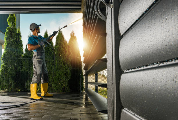Best Solar Panel Cleaning  in Amherst, WI